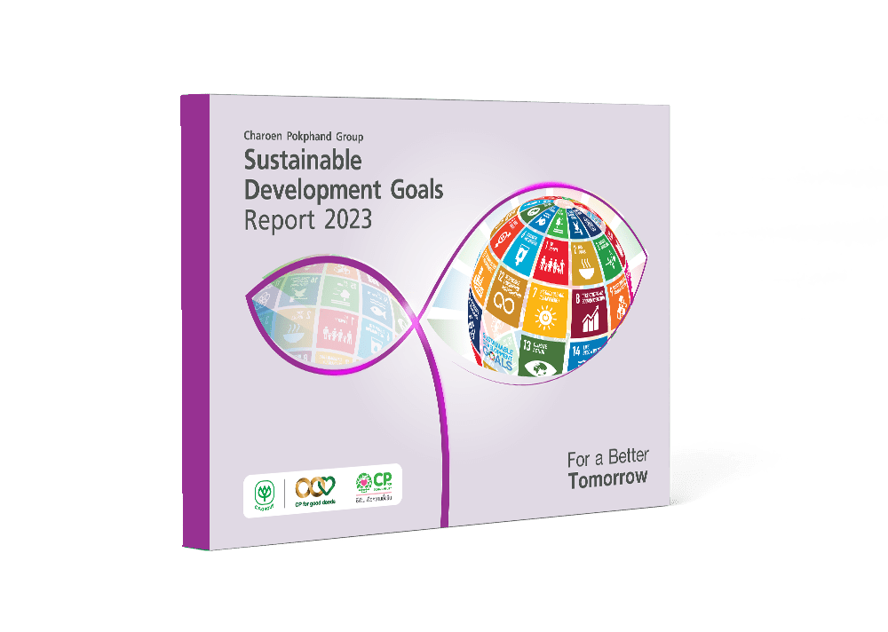 Sustainable Development Goals Report 2023