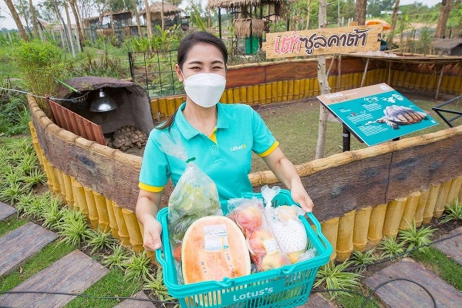 ความร่วมมือเพื่อลดการสูญเสียอาหารและขยะอาหาร